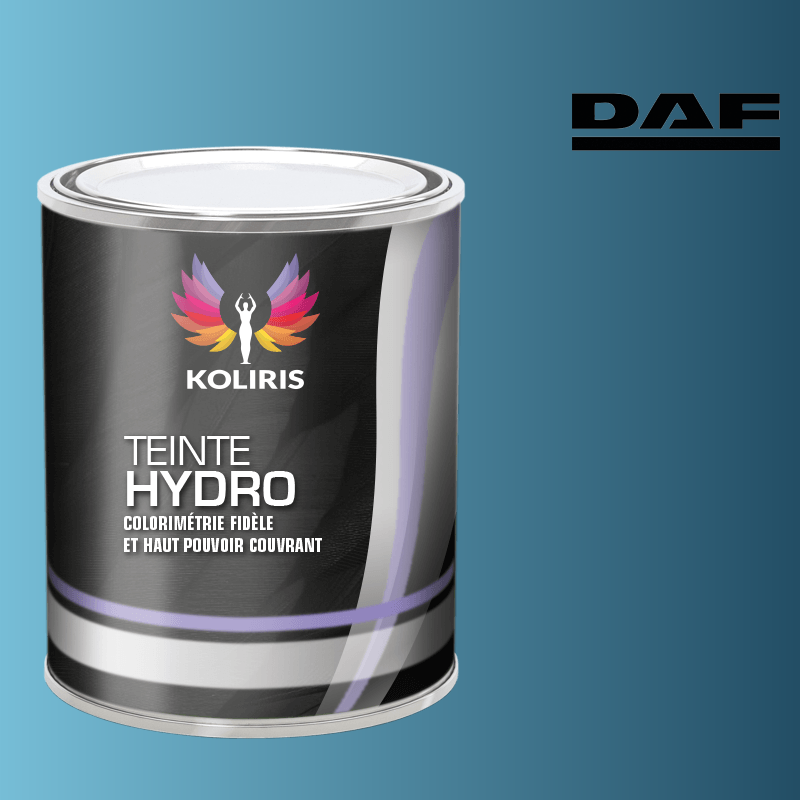 Peinture utilitaire - camion hydro Daf